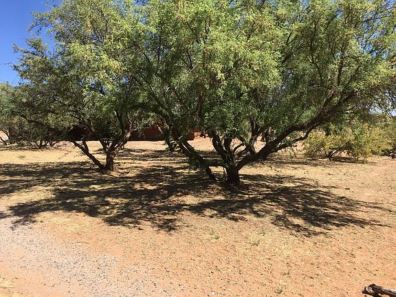 4th image of 1355 S Desert Holly Dr