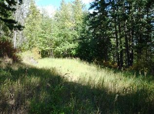 36 Mango St, Moyie Springs, ID 83845
