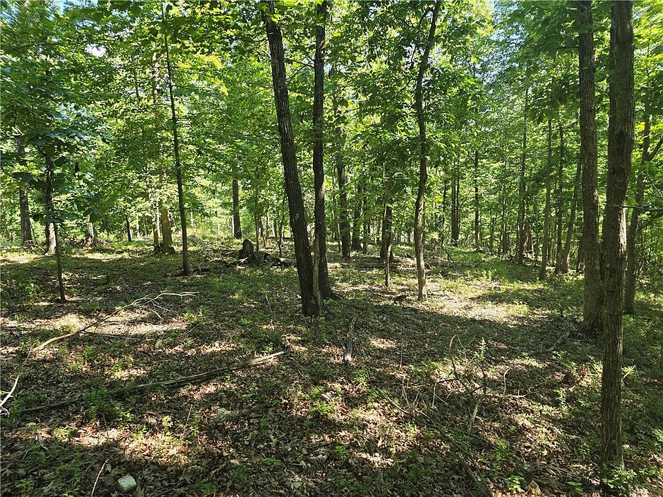 1st image of LOT 7 Esculapia Hollow Rd