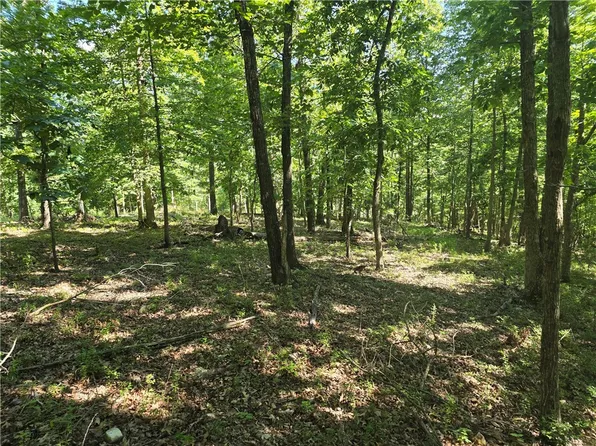 LOT 7 Esculapia Hollow Rd, Rogers, AR 72758