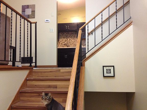 5th image of 442 Whispering River Ln