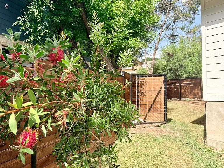 18507 Staghorn Dr — Photo 15