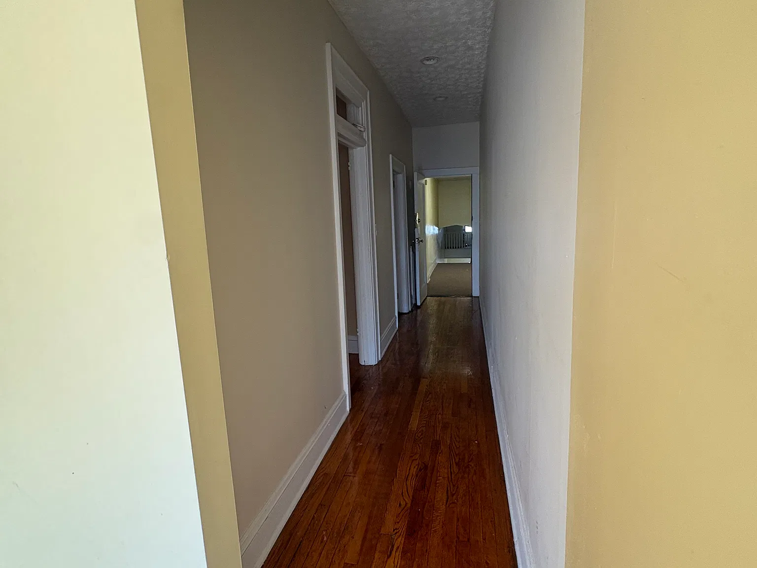 1 bed, $850 — Photo 3