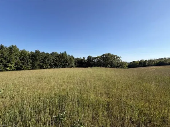 0 Soapstone Mountain Rd, Liberty, NC 27298