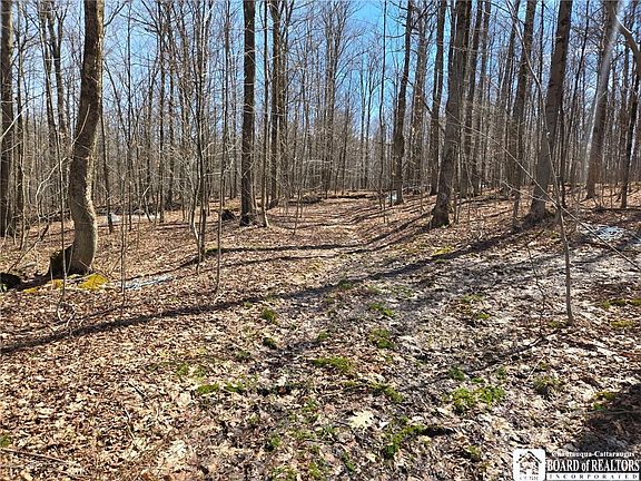 2nd image of 0 W Cobb Rd