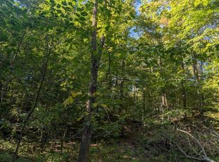 V/l Lewis Rd, East Jordan, MI 49727