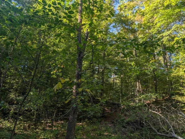 V/l Lewis Rd, East Jordan, MI 49727