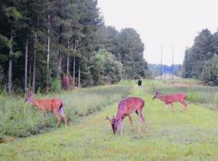 No Little Black Creek Rd, Lumberton, MS 39455