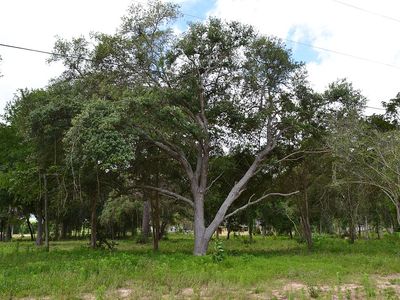4606 Cottonwood Run, Alvin, TX, 77511