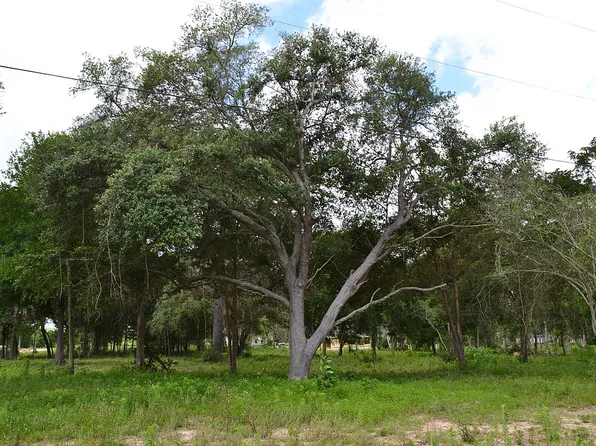 4606 Cottonwood Run, Alvin, TX 77511