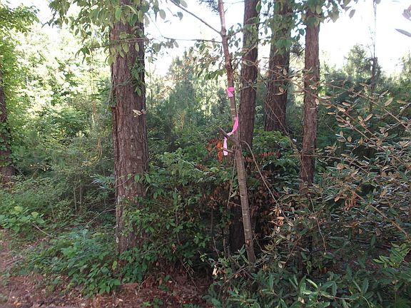 Property has been surveyed.