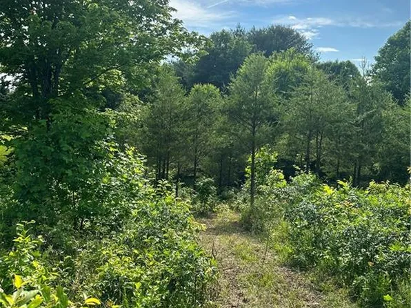 None Westbridge Pl Lot 126, Mount Airy, NC 27030