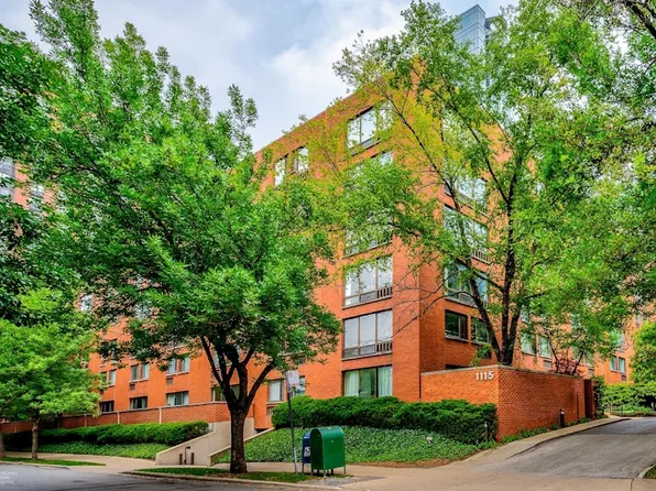 1115 S Plymouth Ct APT 113, Chicago, IL 60605