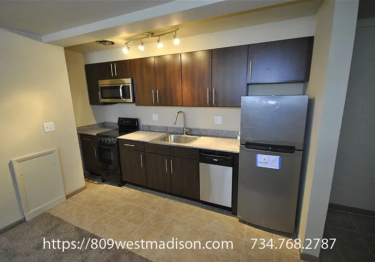 809 W Madison St #5713094 — Photo 2