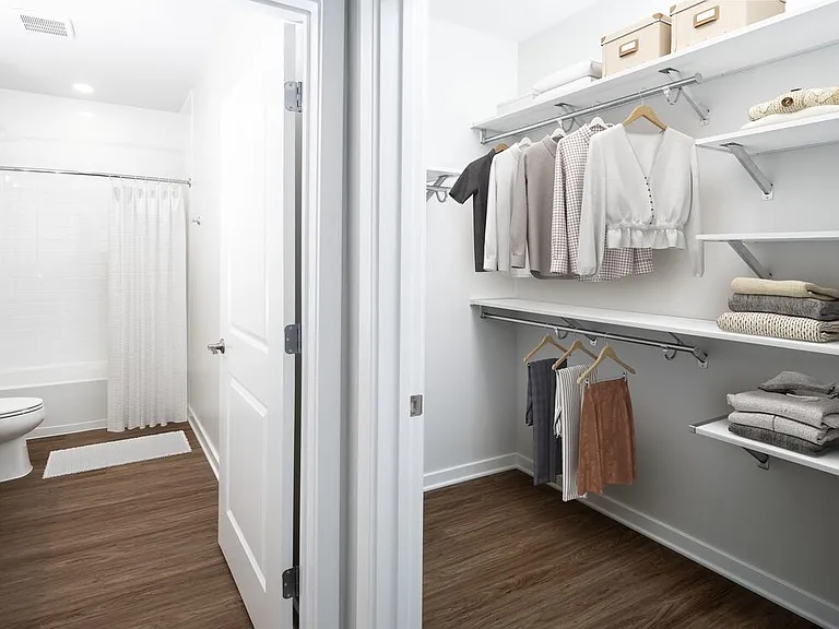 Bath and walk-in closet with built-in shelving and hard surface flooring