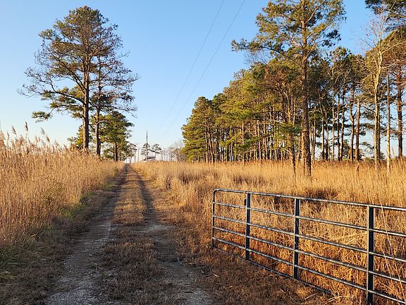 2nd image of 116 Mistletoe Lane