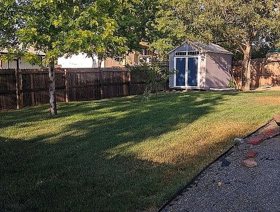 Back yard