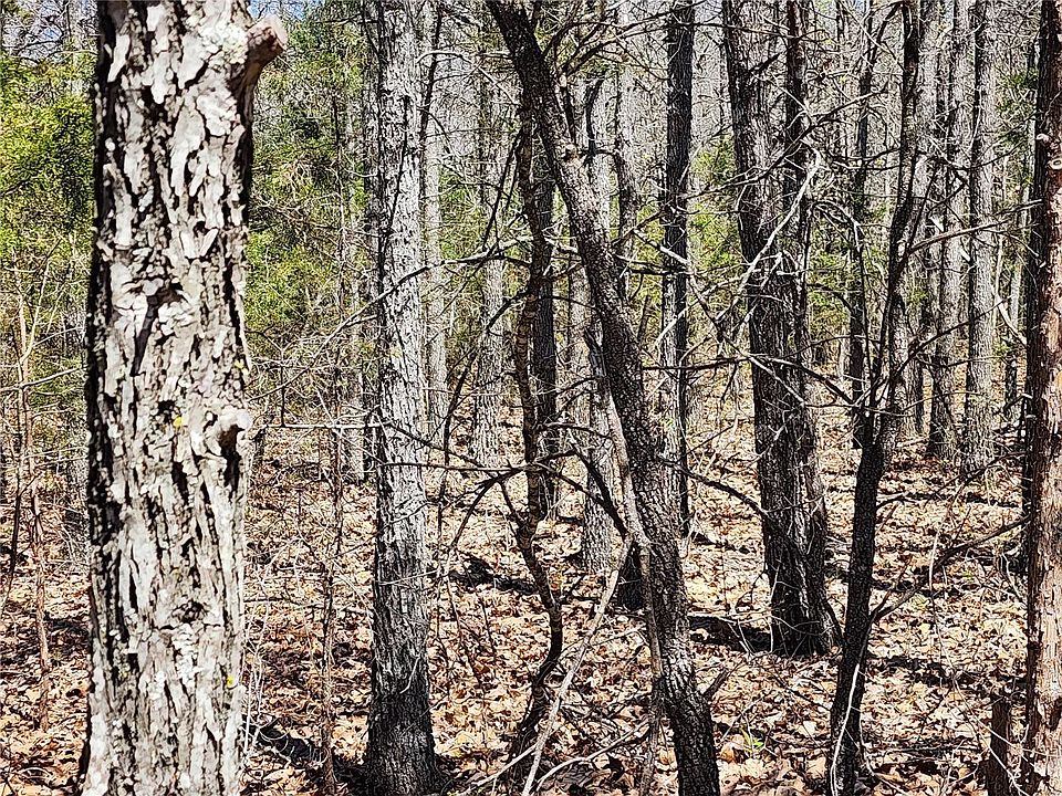 2nd image of 0 Brushy Creek Rd