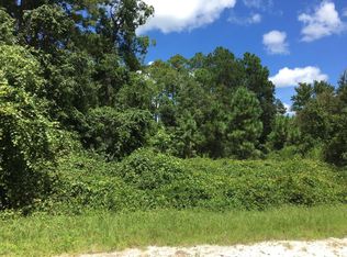 102 Plumosa Dr, Georgetown, FL 32139