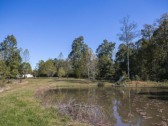 from the back side of pond 