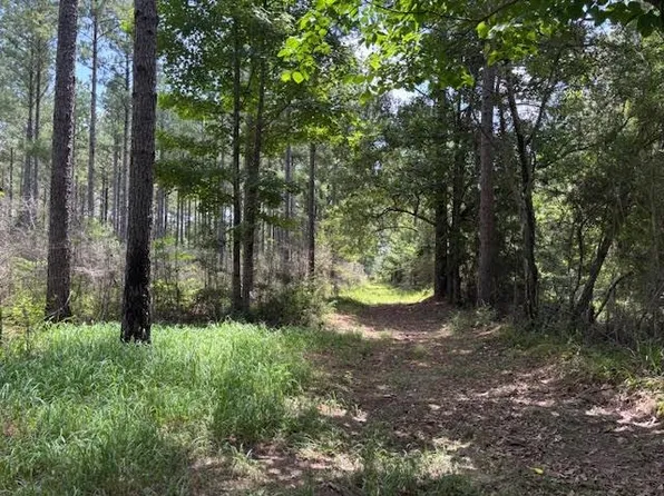 182 Highway 44, Jayess, MS 39641