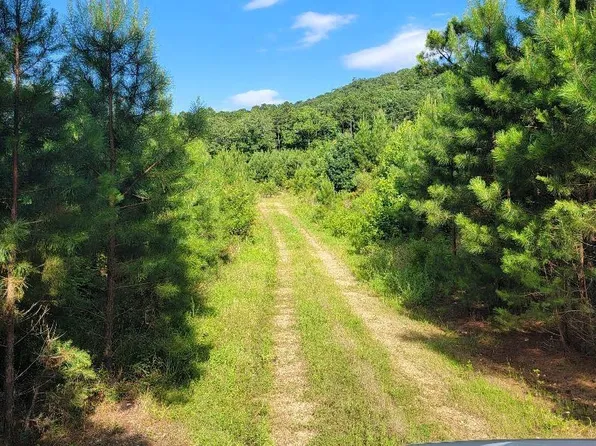 0 Tom Miller, Amity, AR 71921