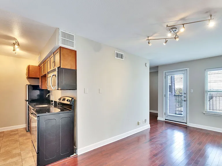 2020 S Congress Ave #1316 — Photo 7