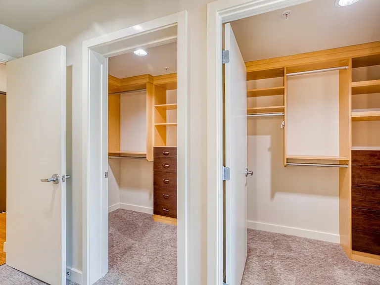 Spacious closets with built-in shelving