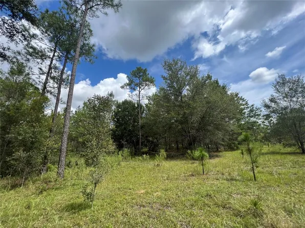 Tbd Se 160th Ave, Morriston, FL 32668