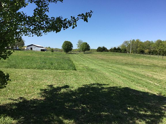 From middle looking at road