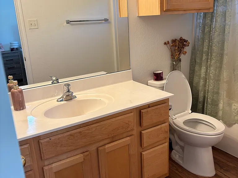 1481 E Old Settlers Blvd #1602 — Photo 19
