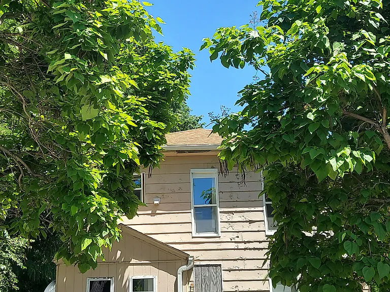 201 W Madison Ave #3 — Photo 18