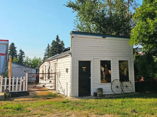 30 McKenzie Ave, Hughenden, AB T0B 2E0
