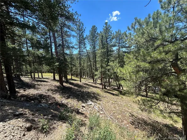 0 pine Pine, Evergreen, CO 80439