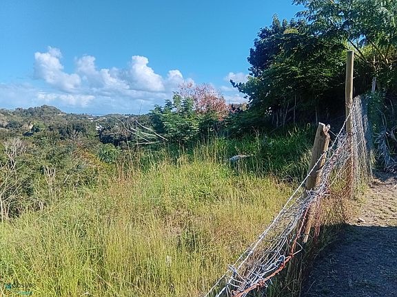 3rd image of Solar 1 Road Km .8 Int Bo Cruces Lote #1-412