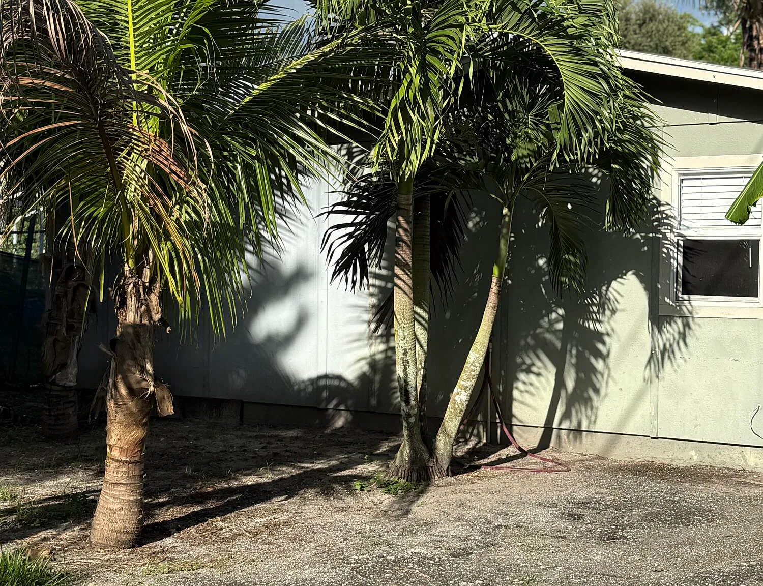 Guesthouse — Photo 1
