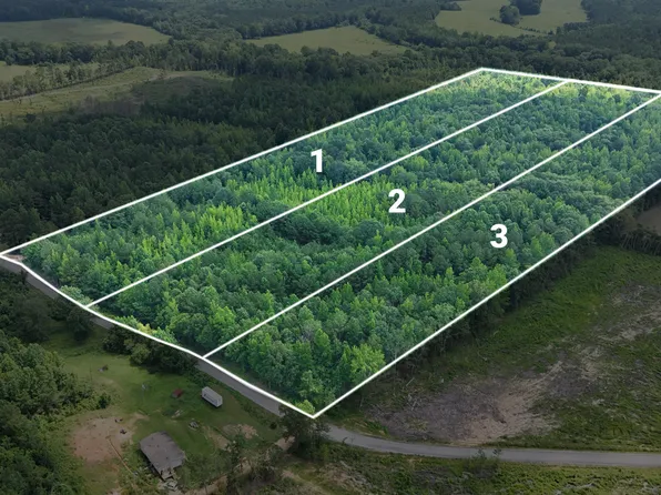 LOT 2 Martin Rd NE, Golden, MS 38847