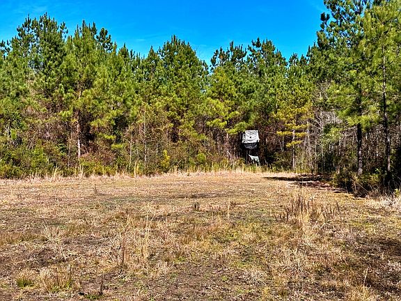 4th image of 1837 Columbus Rd