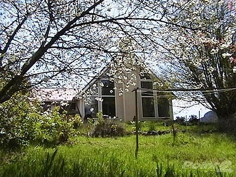 11 Campbell Road through the cherry blossoms