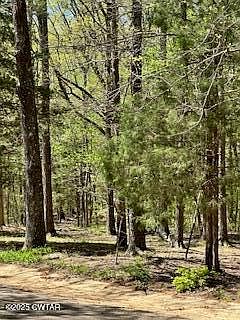 30th image of this home