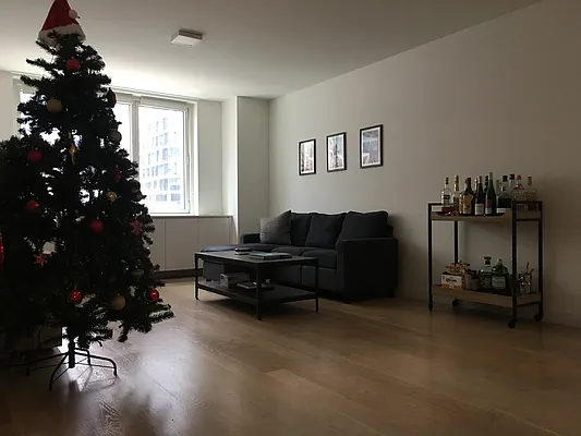 Rented by Douglas Elliman | media 1