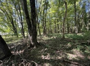 Whittlesey Rd, Amherst, OH 44001