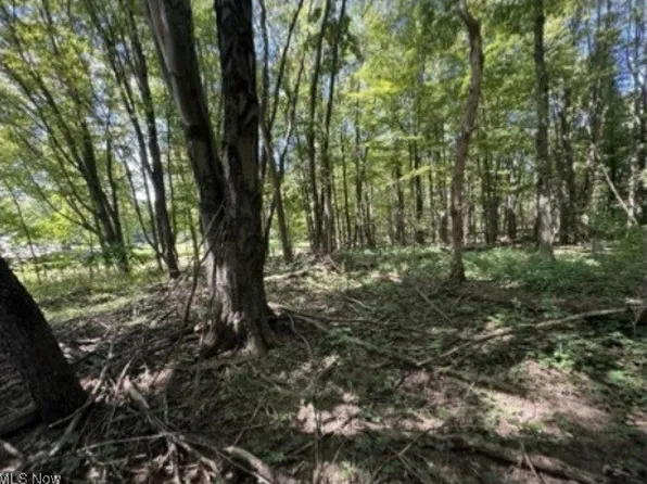 Whittlesey Rd, Amherst, OH 44001