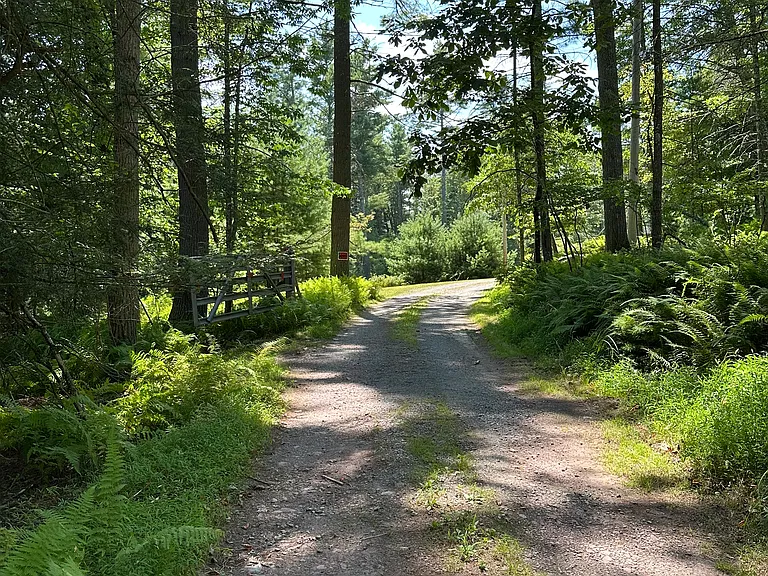 Woods Rd — Photo 1