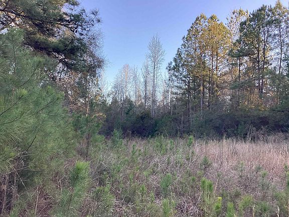 3rd image of 20 McIntyre Rd