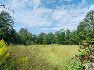 124 County Road 1466, Linden, TX 75563