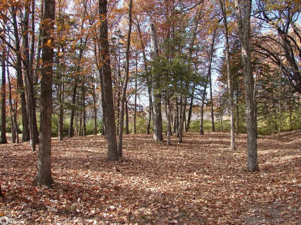 LOT 3 S Hoaglin Dr, Mount Pleasant, IA 52641
