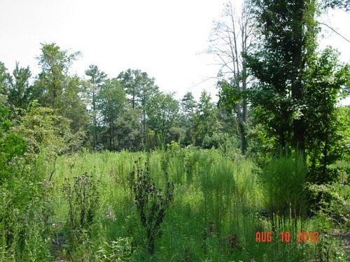 1st image of 11497 County Road 3102