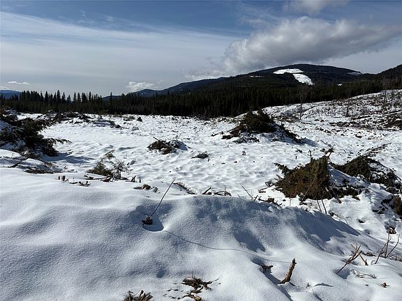 5th image of 1020 Forest Service Rd