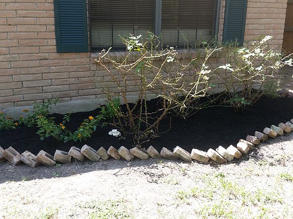 New landscaping
